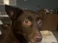 Mel