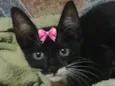 Tina