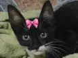 Tina