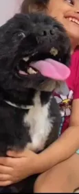 Tom