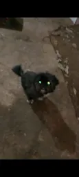 Tom