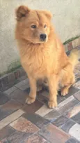 Bolt