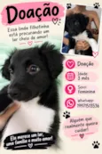 malu
