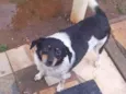 lili