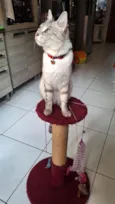 Mia