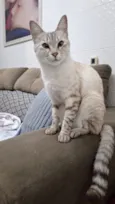 Mia