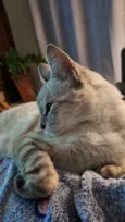 Mia
