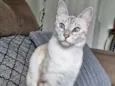 Mia