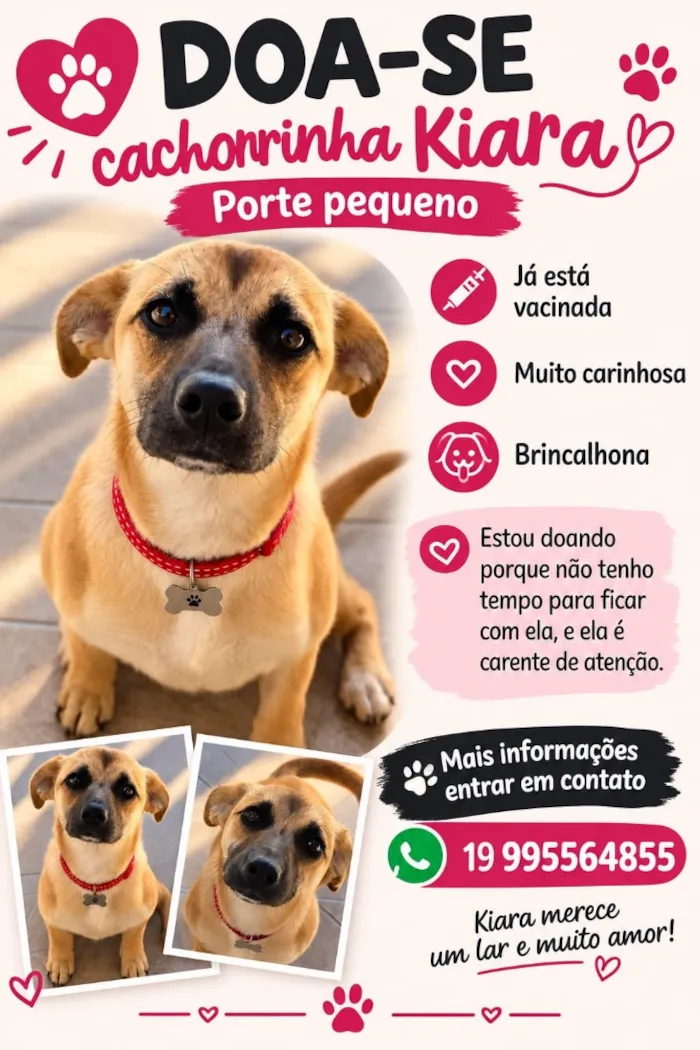 Cachorro raça SRD-ViraLata idade 2 a 6 meses nome Kiara