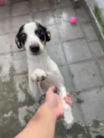 Mariana