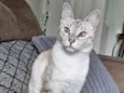 Mia