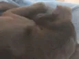 não tem nome
