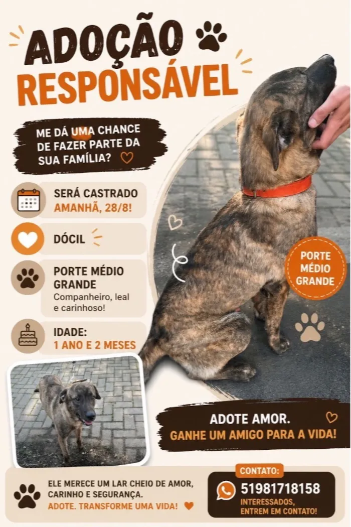 Cachorro raça SRD-ViraLata idade 1 ano nome Capa preta 