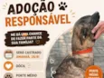 Capa preta 