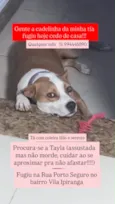 Tayla