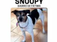 Snoopy