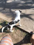 dori