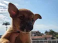 Sem nome 