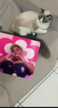 Estelar