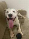 Spike