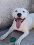 Spike