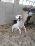 Spike