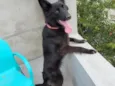 zuri