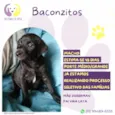 Baconzitos