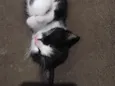tom