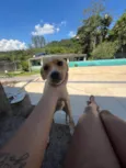 Mili