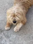 Fred