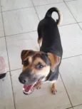 Bituca