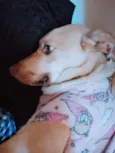 Laika