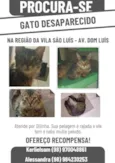 Dilinha