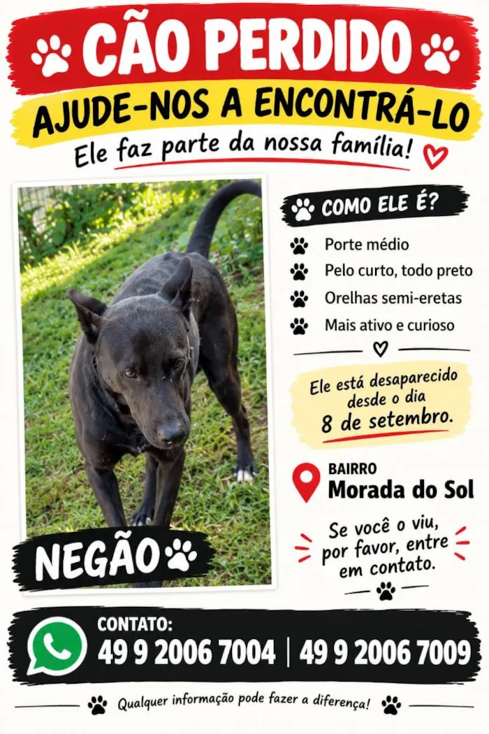 Cachorro raça SRD-ViraLata idade 5 anos nome Negão