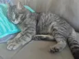 Pompeu