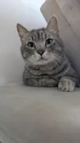 Pompeu