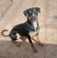 Ares