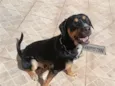 Ares