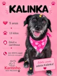 Kalinka