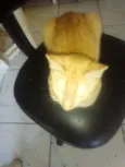 Amarelo 