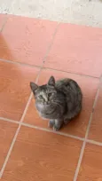 Mia