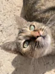 Mia