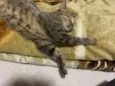Mia