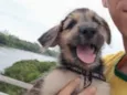 Ares