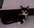 Frida