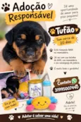 Tufão