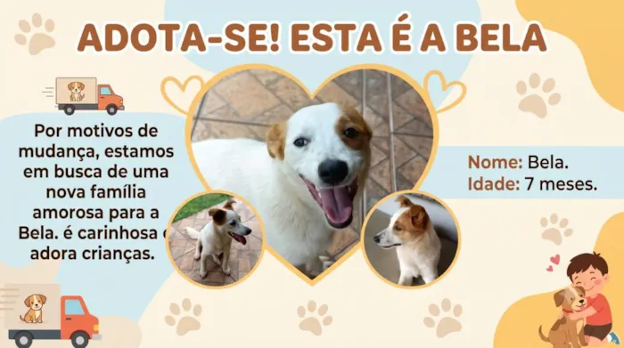 Cachorro raça SRD-ViraLata idade 7 a 11 meses nome Bela
