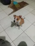 Lua