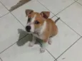 Lua